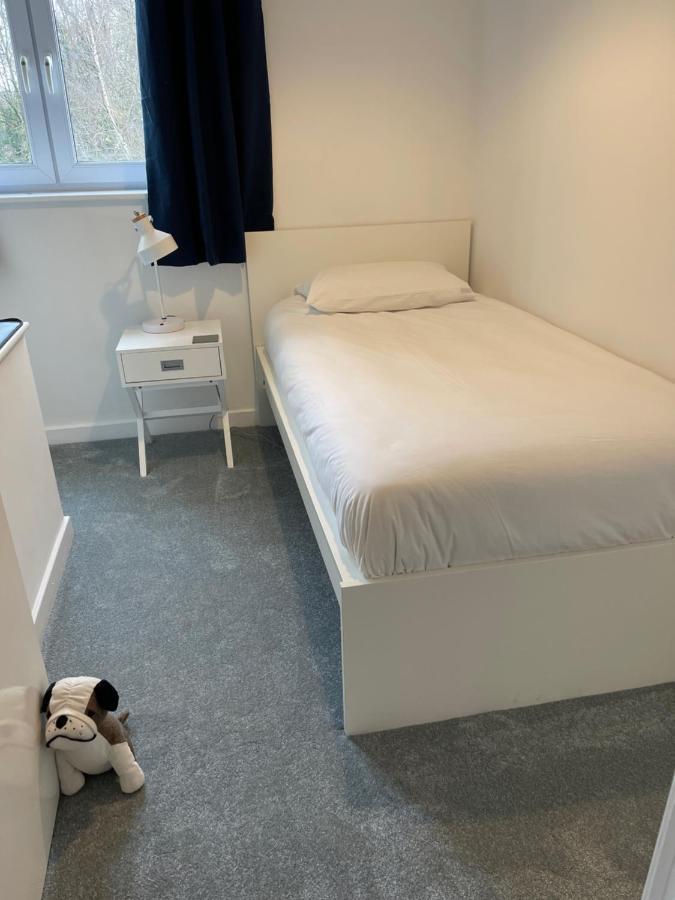 The Beeches - Serviced Duplex Apartment Σέφιλντ Εξωτερικό φωτογραφία